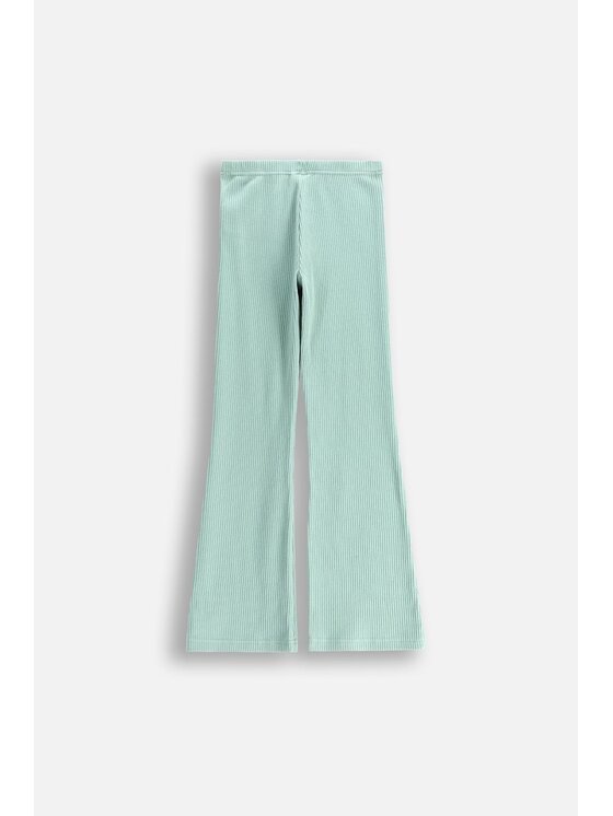Coccodrillo Coccodrillo Legginsy WC5122101VGA-011 Zielony