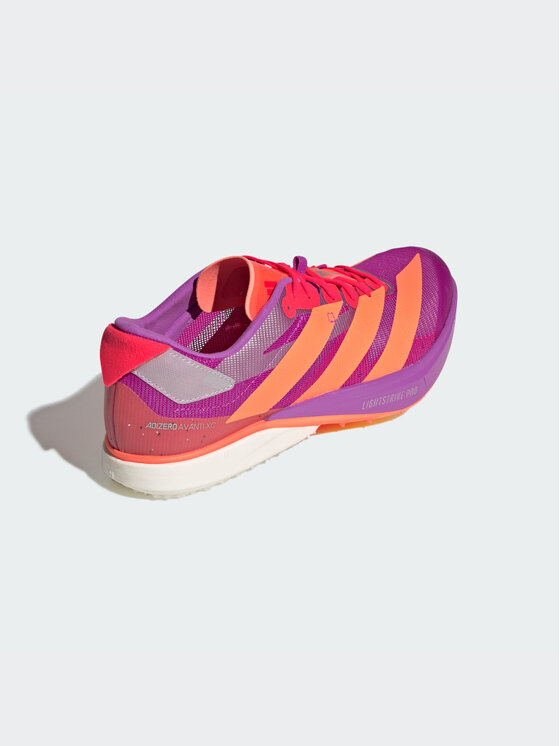adidas adidas Buty do biegania ADIZERO AVANTI XC Fioletowy