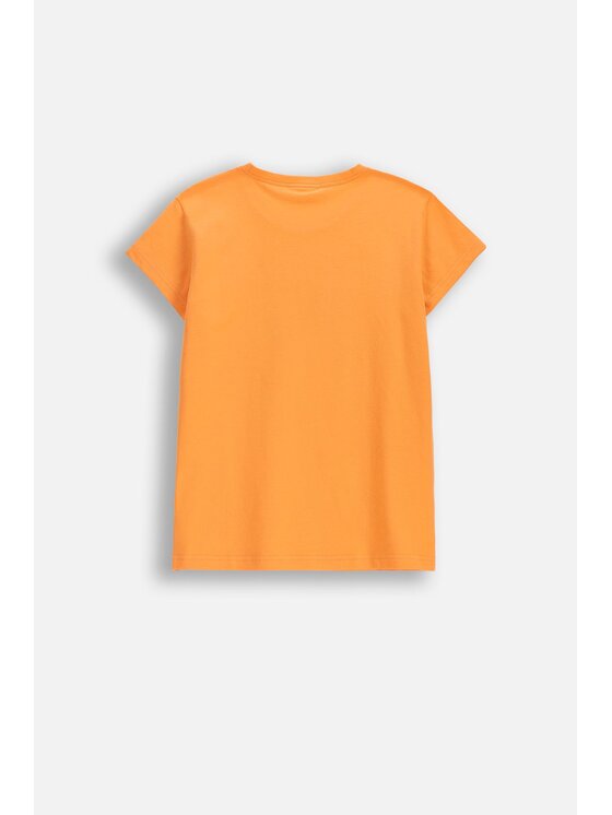 Coccodrillo Coccodrillo T-Shirt WC6143204VGB-005 Różowy Regular Fit