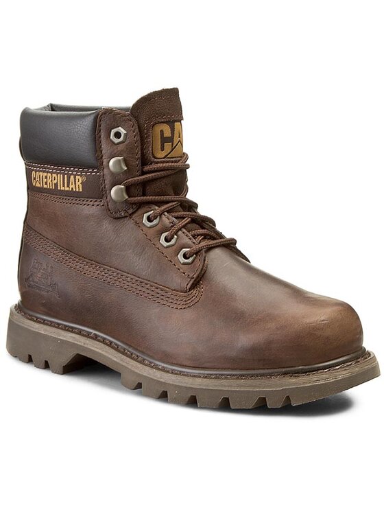 Trapery caterpillar colorado 2025