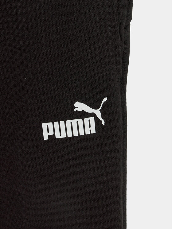 Puma Puma Donji dio trenerke Ess 587038 Crna Regular Fit