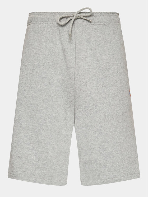 Dickies Športové kraťasy MAPLETON DK0A4Y83GYM1 Sivá Regular Fit