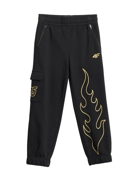 4F 4F Spodnie dresowe MOTOSPORTS 2026 Czarny Regular Fit