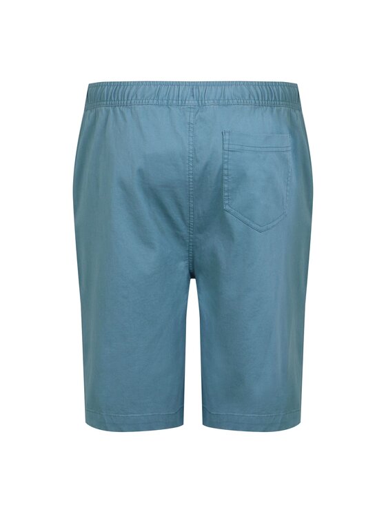 Regatta Regatta Szorty Aldan Błękitny Chino Fit