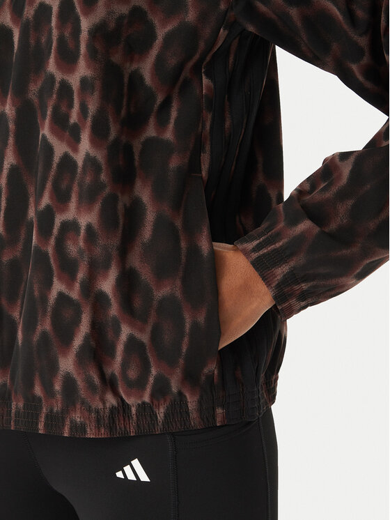 adidas adidas Jopa Workout Essentials Leopard Woven KD7612 Rjava Regular Fit