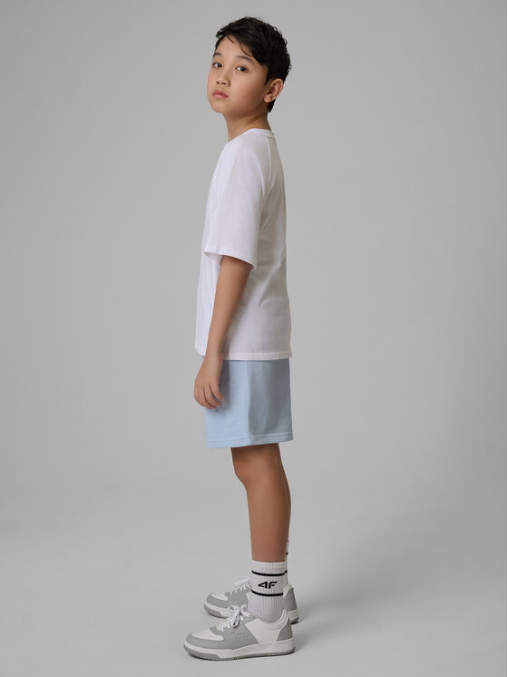 4F 4F Szorty sportowe BASIC+ Niebieski jasny Regular Fit