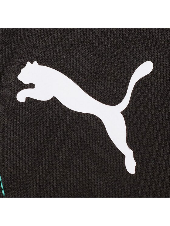Puma Puma Spodnie dresowe 621148 Czarny Regular Fit