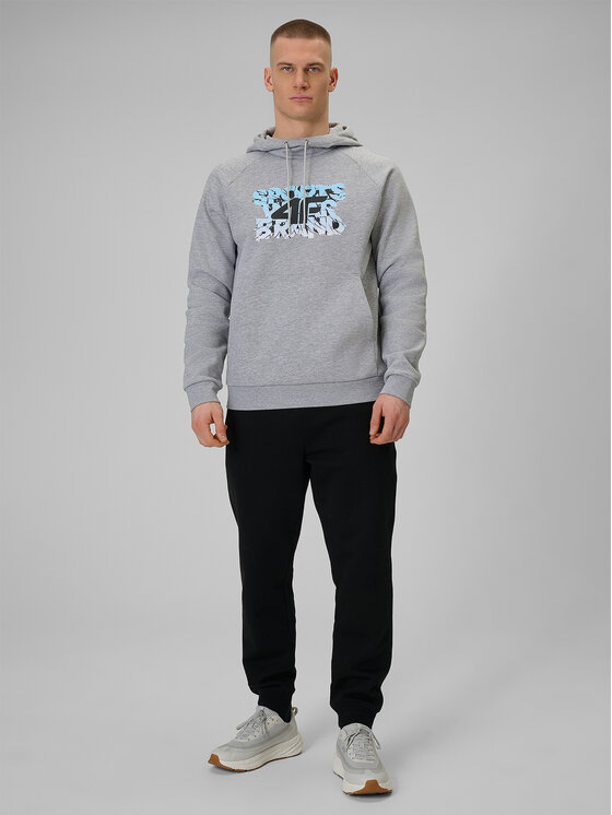 4F 4F Bluza WINTER CODE Szary jasny Regular Fit