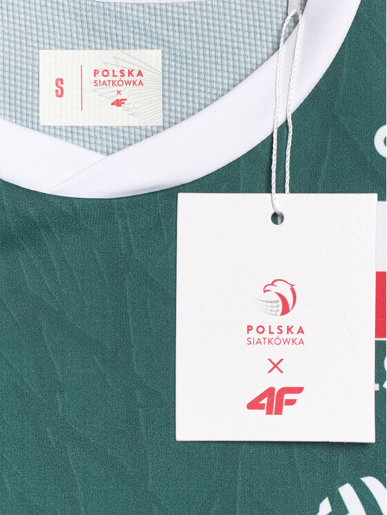 4F 4F T-Shirt TEAMWEAR Kolorowy Regular Fit