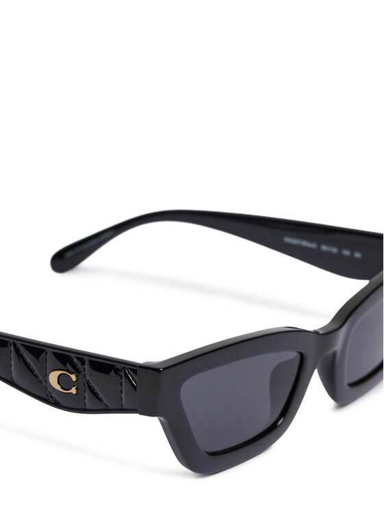 Coach Coach Sonnenbrillen 0HC8420U 500287 Schwarz