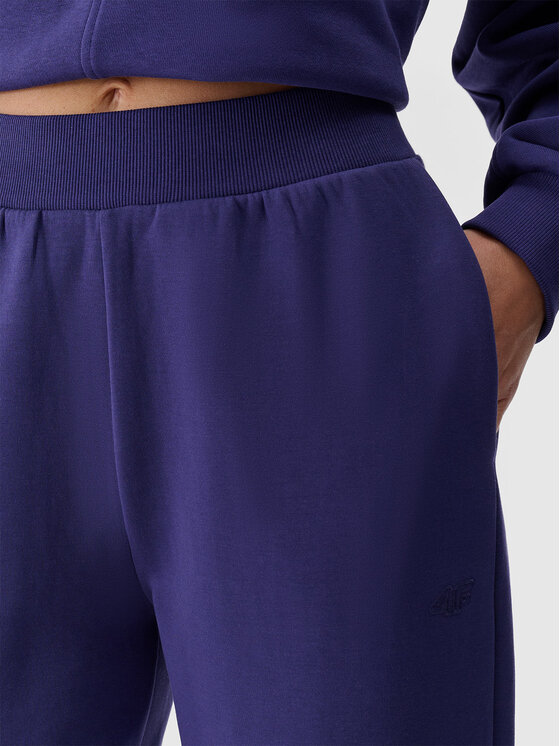 4F 4F Spodnie dresowe EMPOWERED BY NATURE Granatowy Regular Fit