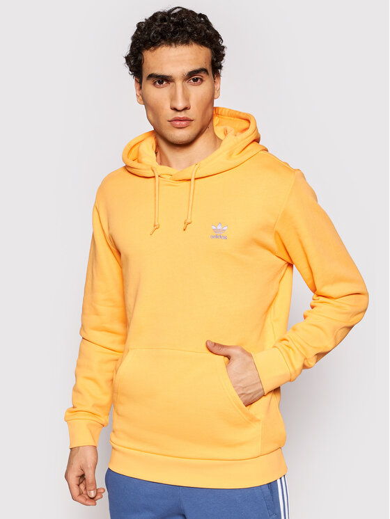 Чоловіча кофта худі adidas Originals Loungewear Essential Hoody GN3390 –  купити, ціна, відгуки в інтернет-магазині Sneaker Studio | Sneakerstudio
