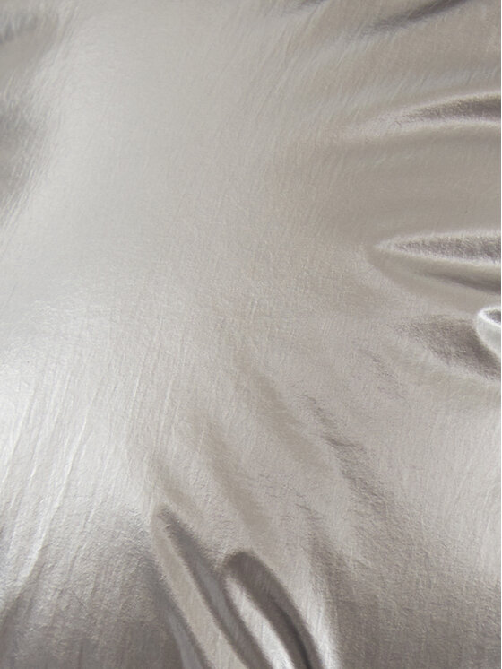 Elisabetta Franchi Elisabetta Franchi Zimní bunda PI-77D-46E2-V570 Stříbrná Regular Fit