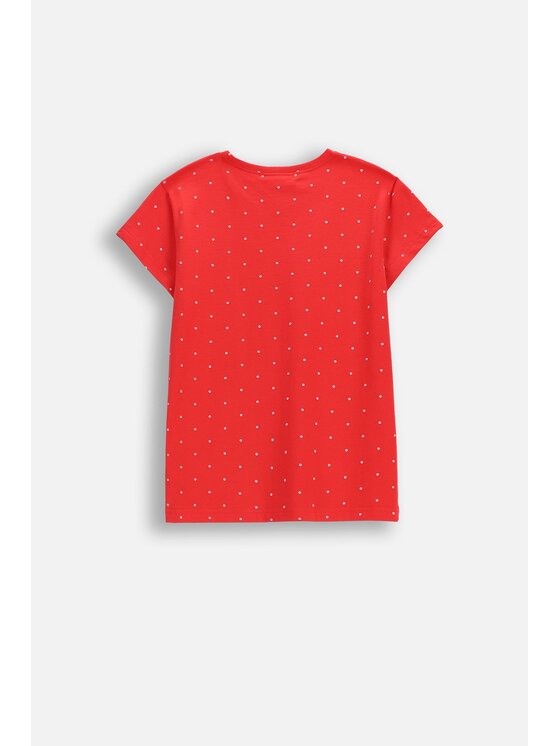 Coccodrillo Coccodrillo T-Shirt WC6143215VGA-009 Czerwony Regular Fit
