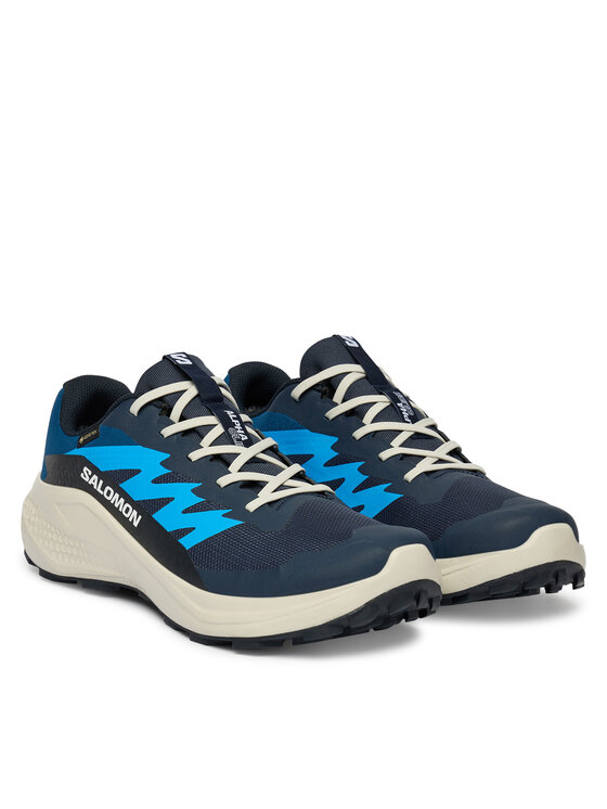 Salomon Salomon Tekaški čevlji Alphaglide Gtx L47975100 Modra