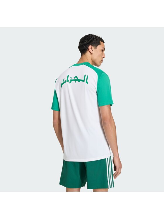 adidas adidas Koszulka techniczna Algeria 26 Home Pre-Match Jersey Biały Slim Fit