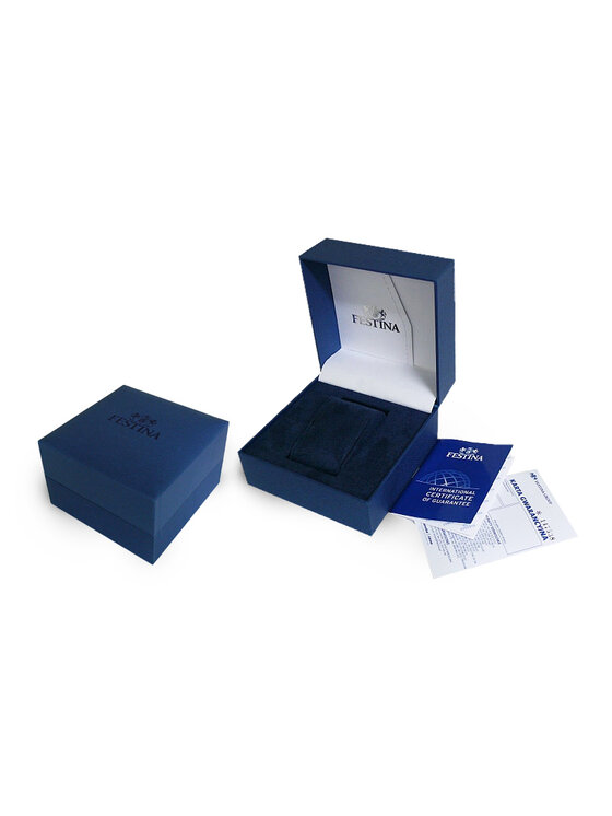 Festina Festina Hodinky F20437/1 Stříbrná