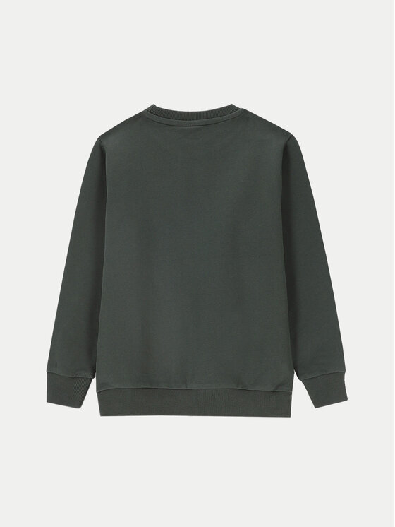 Coccodrillo Coccodrillo Felpa ZC4132101LBD Verde Regular Fit