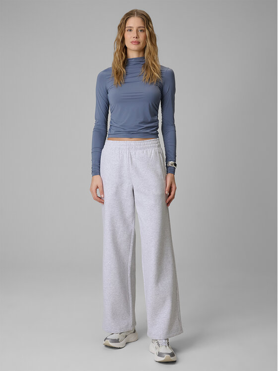 4F 4F Spodnie dresowe BASIC+ Szary jasny Regular Fit