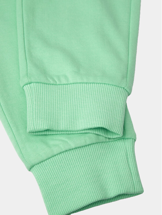 Coccodrillo Coccodrillo Jogginghose WC4120102VGA Grün Regular Fit