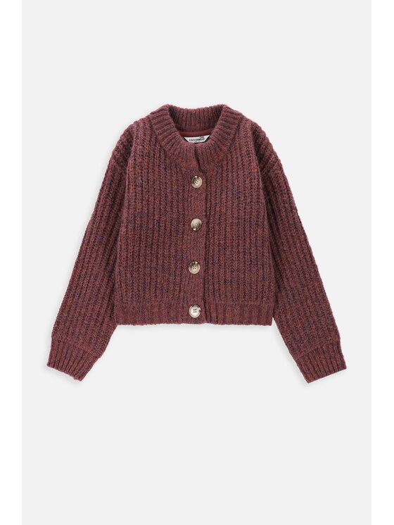 Coccodrillo Coccodrillo Sweter ZC3172201CGJ-017 Bordowy Regular Fit
