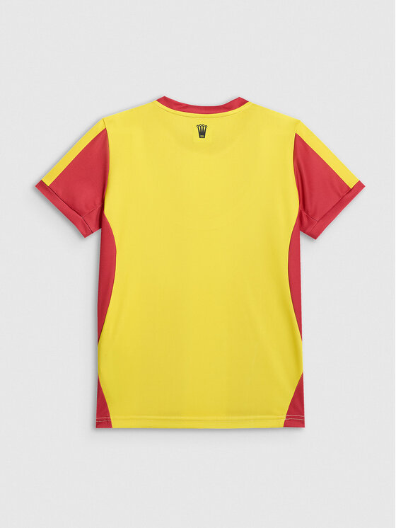 4F 4F Koszulka techniczna TEAMWEAR Kolorowy Regular Fit
