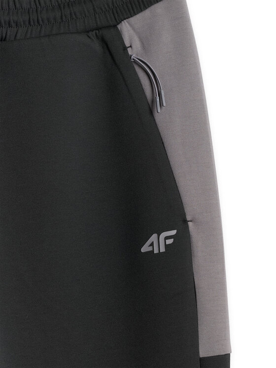 4F 4F Spodnie dresowe FLUID EXPRESSIONS Szary Regular Fit