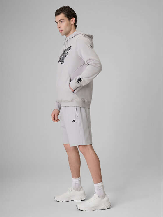 4F 4F Szorty sportowe COMMERCIAL 3 Szary jasny Regular Fit