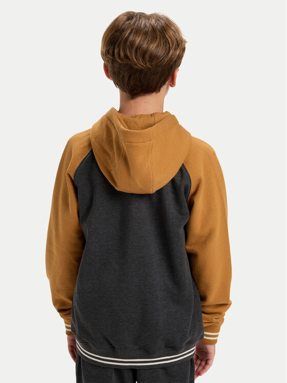 Quiksilver Quiksilver Mikina Knowledge Area EQBFT03949 Barevná Regular Fit