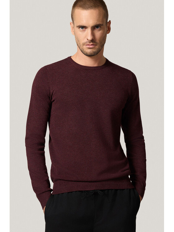 Próchnik Próchnik Sweter PM16 SW073225000066 Bordowy Regular Fit