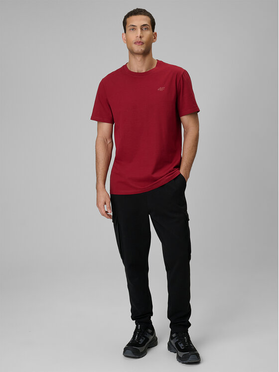 4F 4F T-Shirt ESSENTIAL 2 Kolorowy Regular Fit