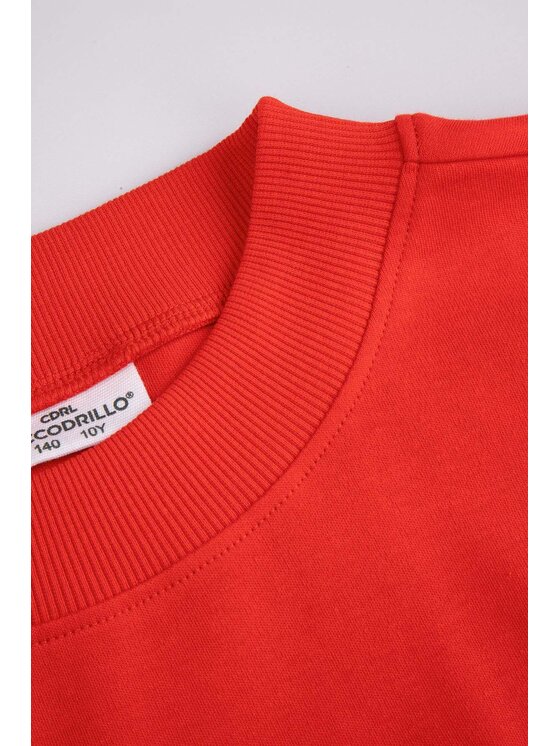 Coccodrillo Coccodrillo T-Shirt ZC5143202FGJ-009 Červená Regular Fit