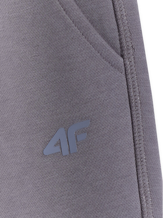 4F 4F Spodnie dresowe BASIC+ Szary Regular Fit