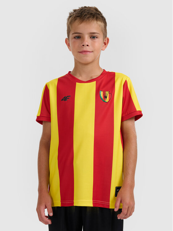 4F 4F Koszulka techniczna TEAMWEAR Kolorowy Regular Fit