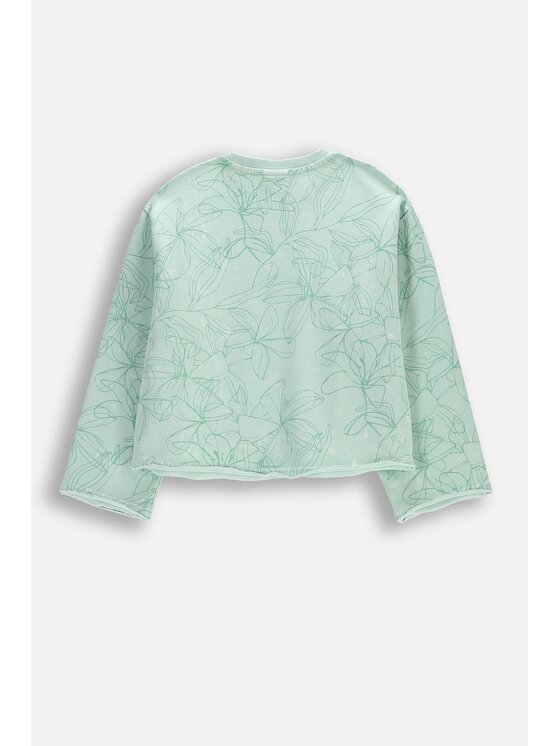 Coccodrillo Coccodrillo Bluza WC5132101TGJ-011 Zielony Regular Fit