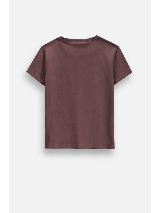 Coccodrillo Coccodrillo T-Shirt ZC6143203VGA-018 Brązowy Regular Fit