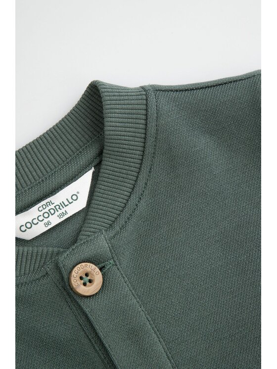 Coccodrillo Coccodrillo Mikina WC6132201HBN-011 Zelená Regular Fit