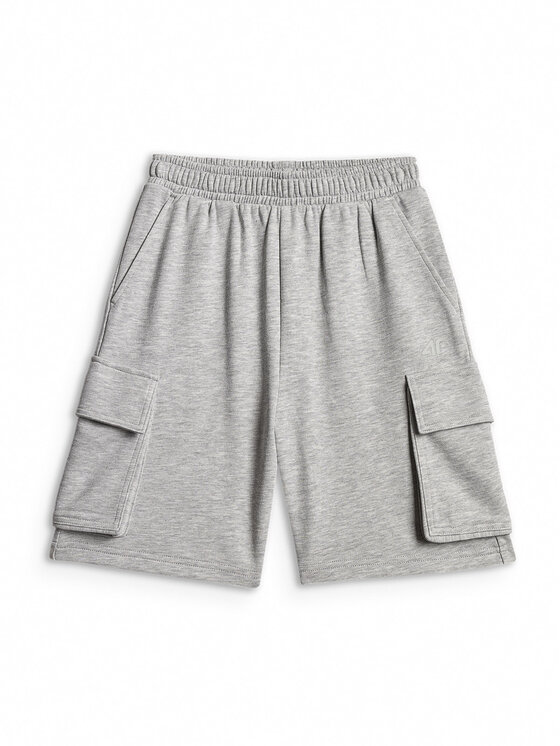4F 4F Szorty sportowe COMMUNITY SPORTS Szary Regular Fit