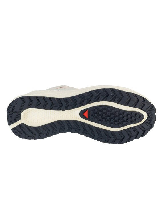 Salomon Salomon Buty do biegania Aero Blaze 3 Grvl GTX W Szary