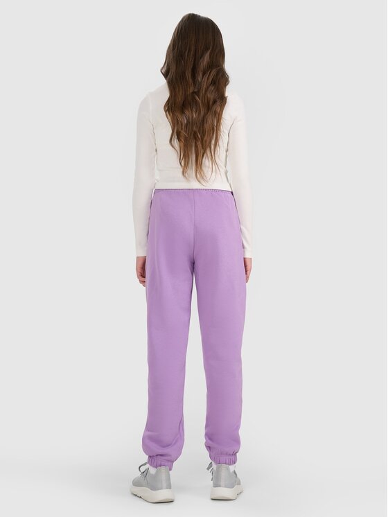 4F 4F Pantaloni da tuta 4FJRAW25TTROF1616-51S Viola Regular Fit