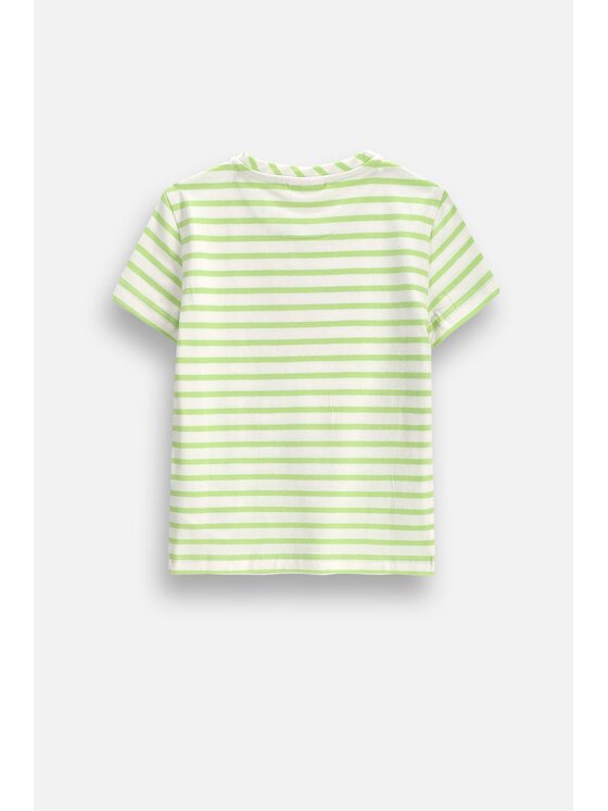 Coccodrillo Coccodrillo T-Shirt ZC6143203HGK-022 Kolorowy Regular Fit