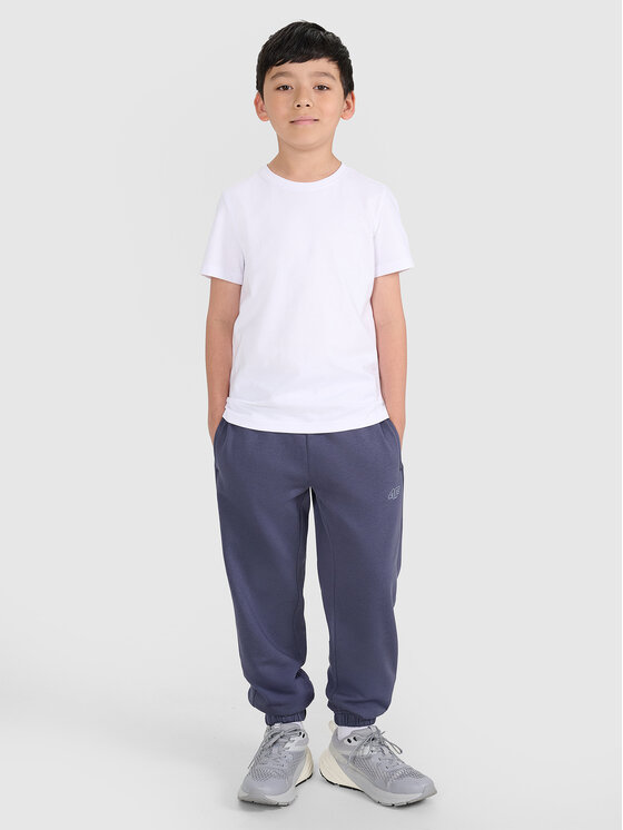 4F 4F T-Shirt BASIC+ Biały Regular Fit