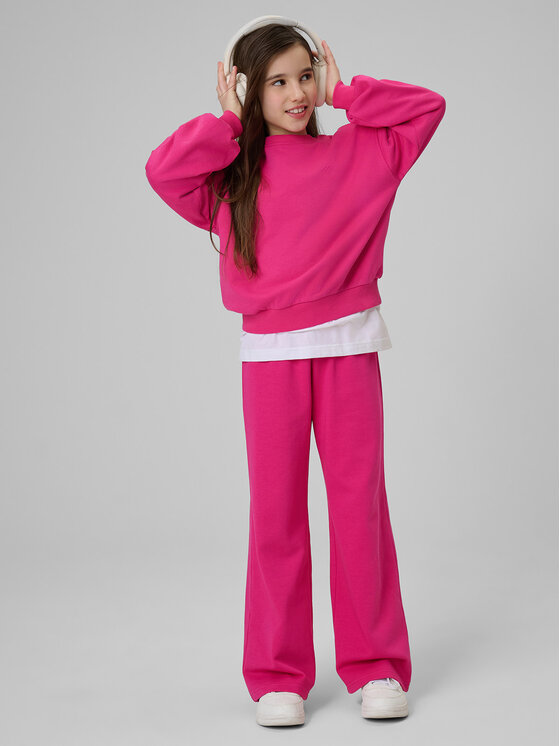 4F 4F Spodnie dresowe BASIC+ Różowy Regular Fit