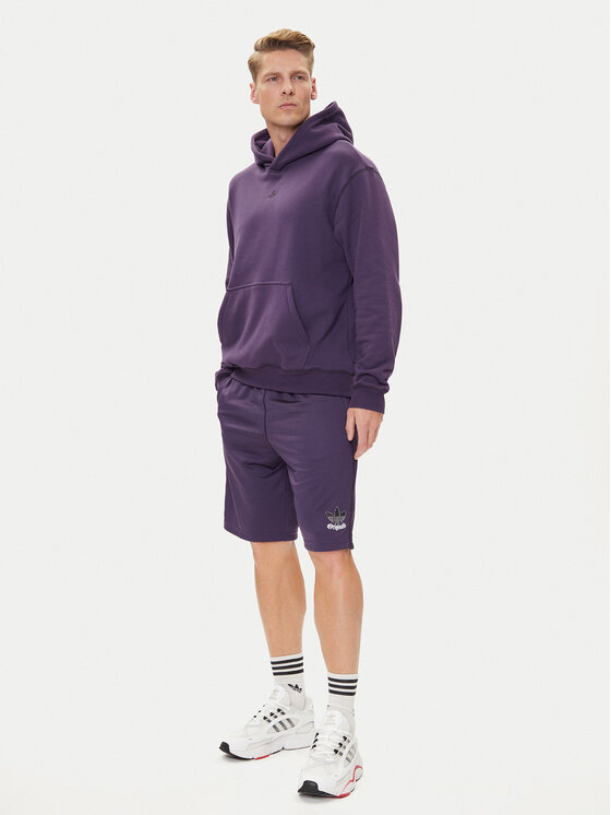 adidas adidas Majica dugih rukava Distressed Graphic JY2729 Ljubičasta Loose Fit