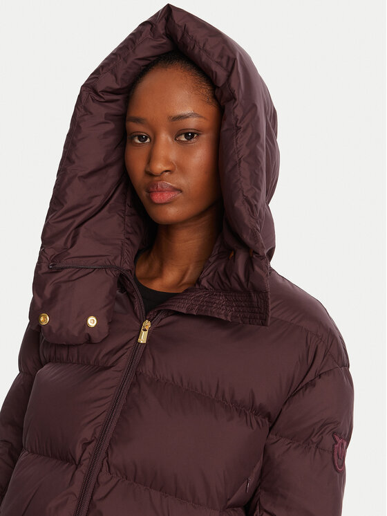 PINKO PINKO Zimska jakna 101602 A2P6bord Bordo rdeča Regular Fit