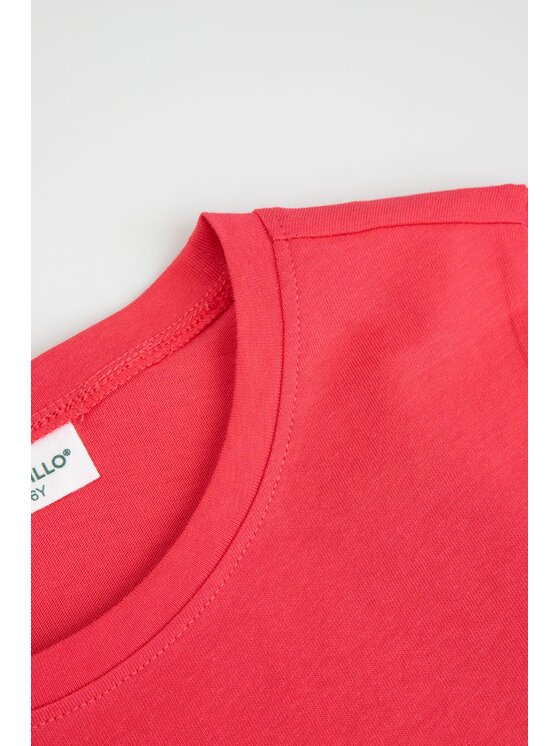 Coccodrillo Coccodrillo T-Shirt WC6143201QGK-029 Różowy Regular Fit