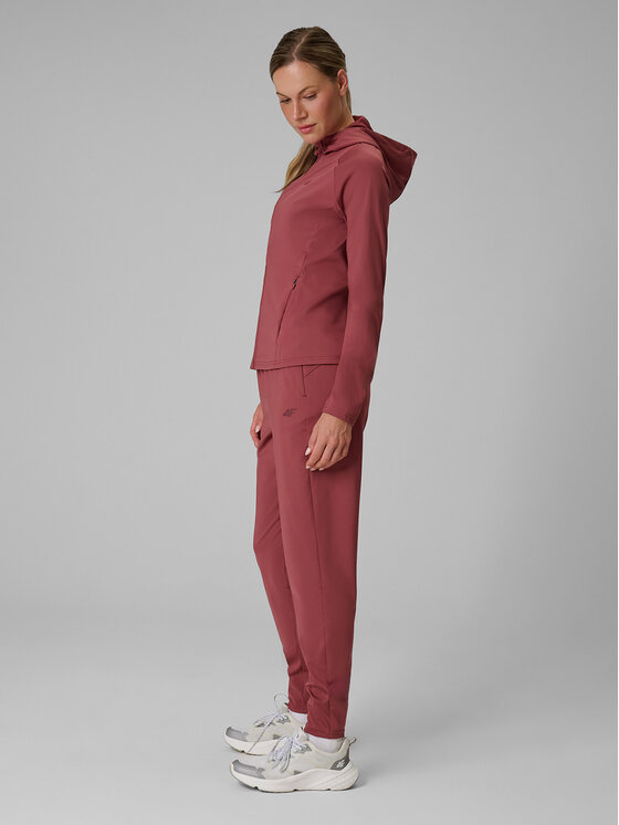 4F 4F Spodnie dresowe BASIC+ Brązowy jasny Regular Fit