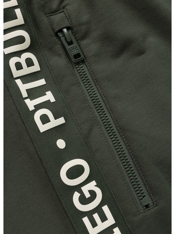 PITBULL PITBULL Szorty sportowe TAPE PARKER Zielony Regular Fit