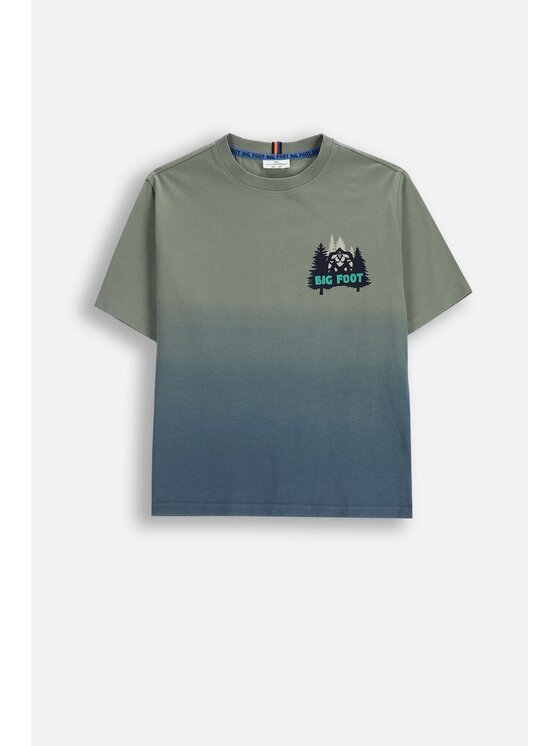Coccodrillo Coccodrillo T-Shirt ZC5143204YBJ-011 Zelená Regular Fit