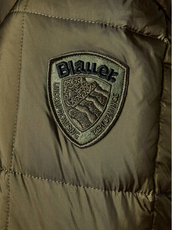 Blauer Blauer Žieminė striukė 23WBLUC03008 Žalia Regular Fit